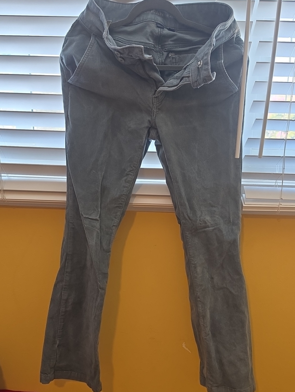 American Eagle Outfitters Women's Gray Bootcut Corduroy Pants
